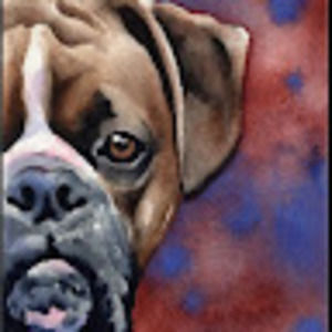 Meet your Posher, Azucena